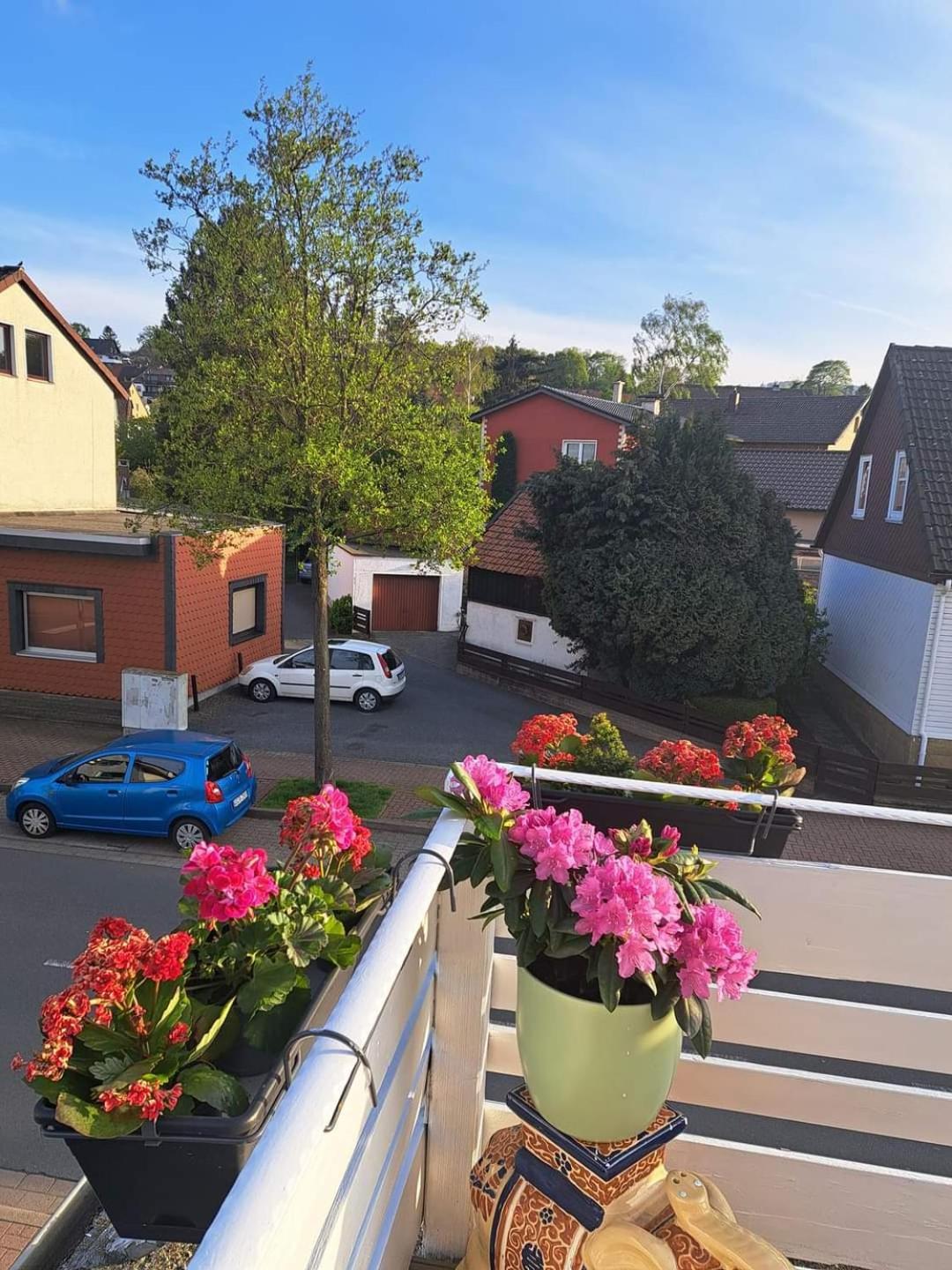 Fewo Im Harz Bad Harzburg Kültér fotó